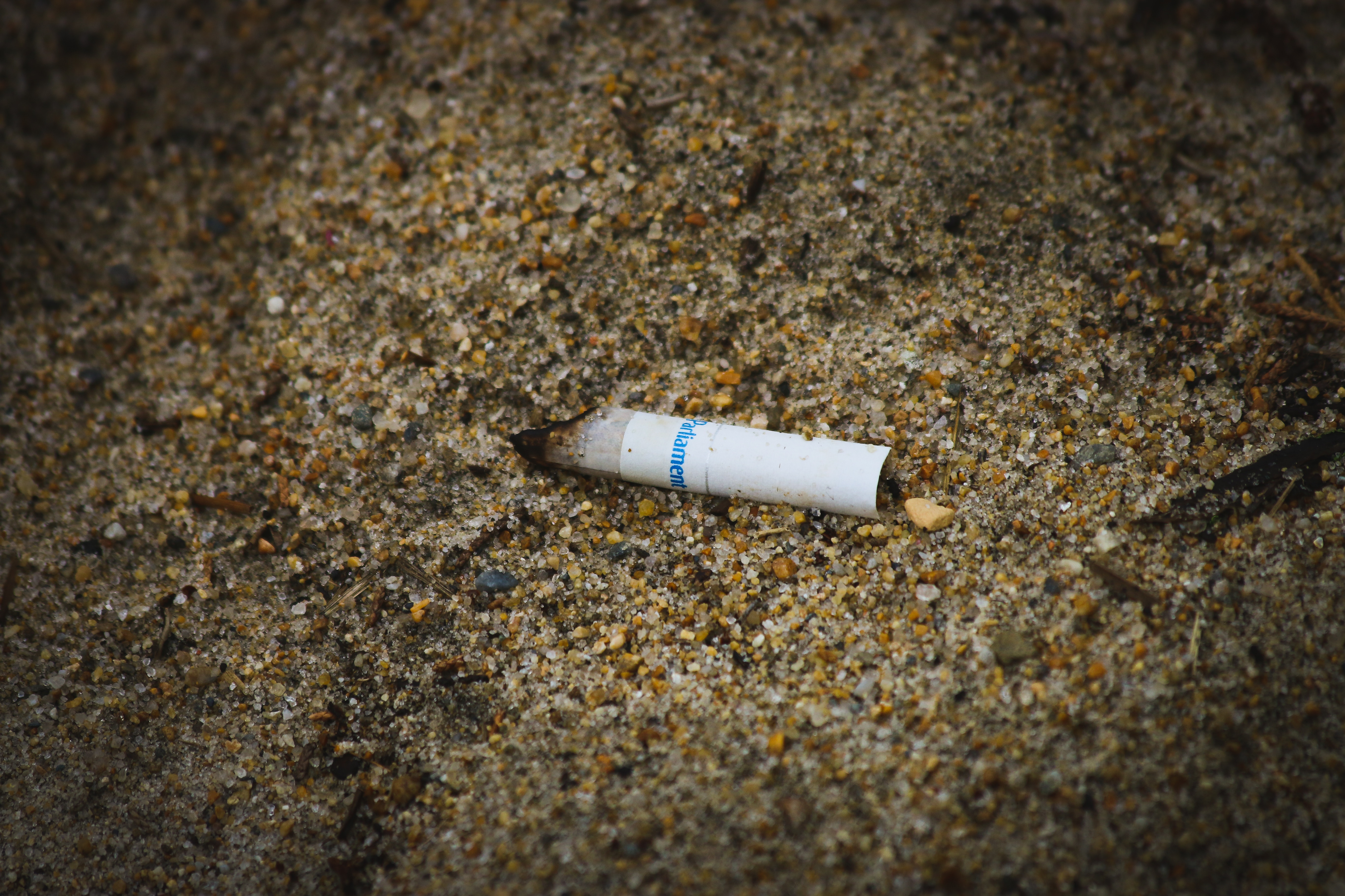 cigarette butt contaminant ocean pollution plastic waste environmental concern trash item on beach