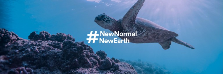 articles-header-newnormalnewearth