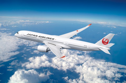 JAL airlines Japan interview she is more