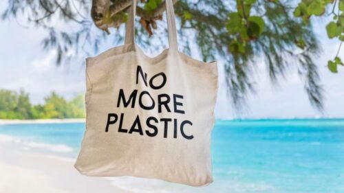 no-plastic-1024x576