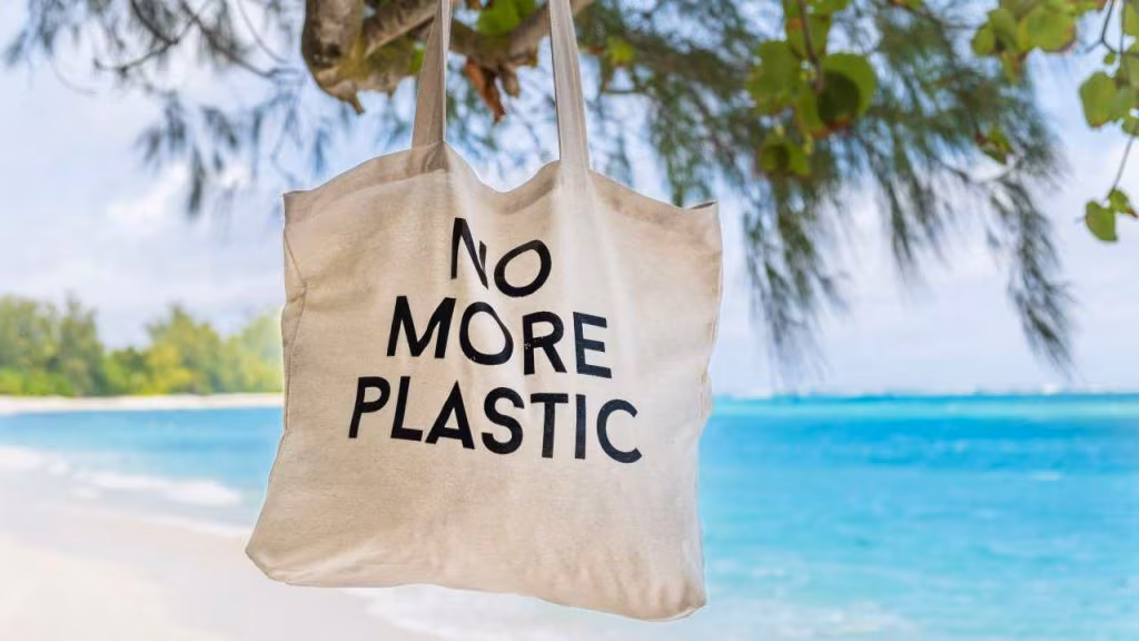 no-plastic-1024x576