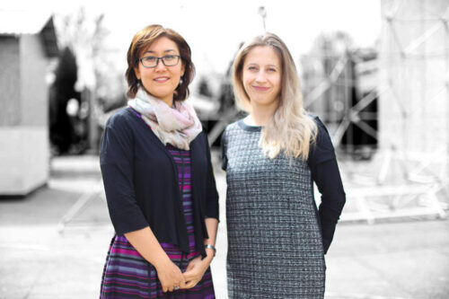 undp-rbec-iwd-uzhorizontal