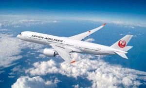 JAL airlines Japan interview she is more